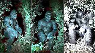 This Hunter Captured The MOST Scary Images Of Bigfoot EVER Taken!