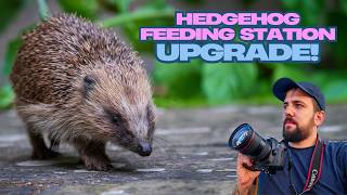 HEDGEHOG FEEDING STATION UPGRADE!