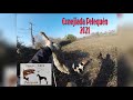 Caza De Conejos Con Perros (Conejeada) Pelequén Julio 2021