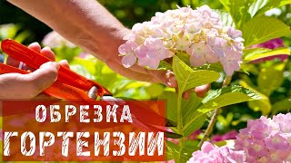 Ольга Платонова Фото До Пластики