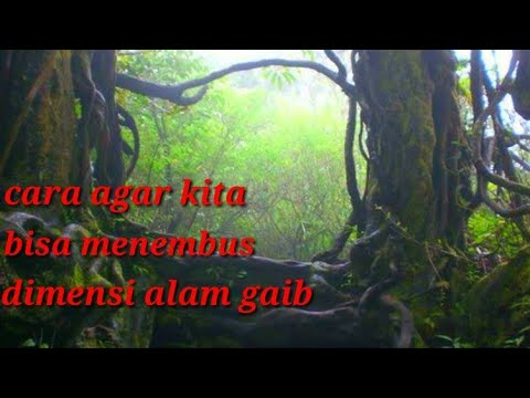 Video: Cara Belajar Melihat Dunia