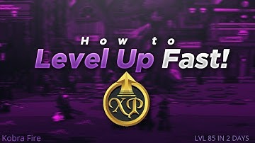 =AQW=  Level 85 In 2 Days ( Packet Spammer -- HACK )