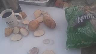 Part 6 GMO POTATO