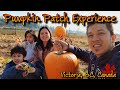 Our First Pumpkin Patch Experience | Victoria, BC, Canada