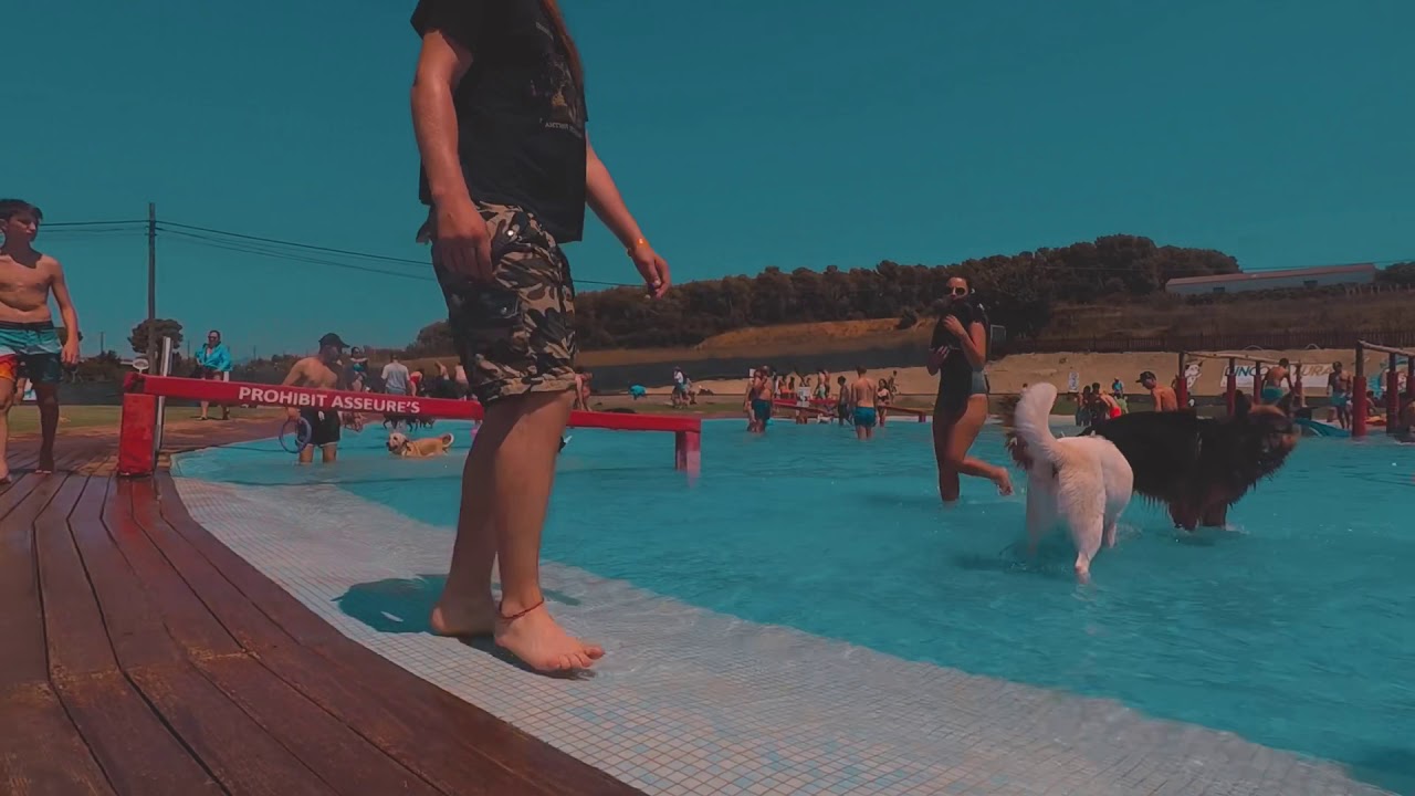 aquapark-canino-barcelona-youtube