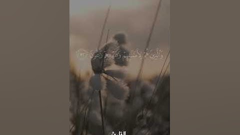 سورة المعارج بمقام اللامي بصوت القارئ محمد بن خميس الميشاني #محمد_الميشاني امام وخطيب جامع سور#قرآن