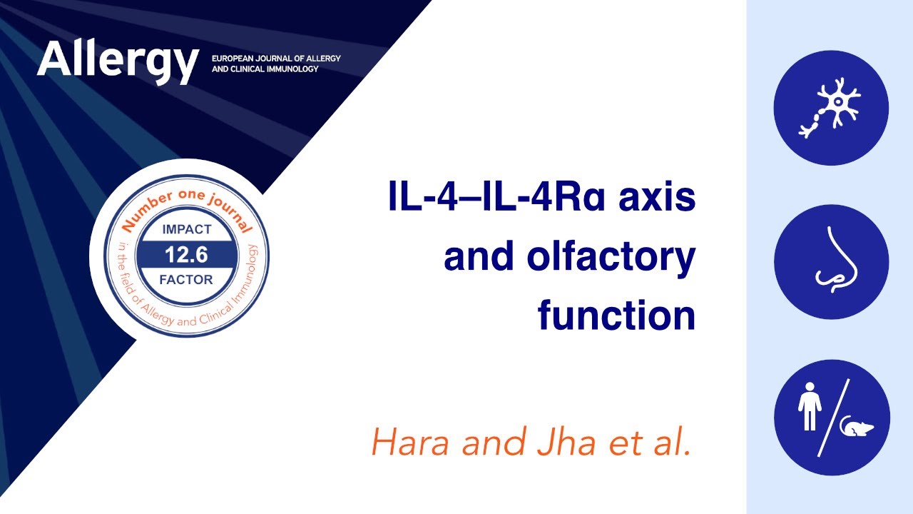 The IL-4–IL-4Rα axis modulates olfactory neuroimmune signaling to induce loss of smell