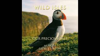 Wild Isles  - Our Precious Isles - Music from the Original TV Series