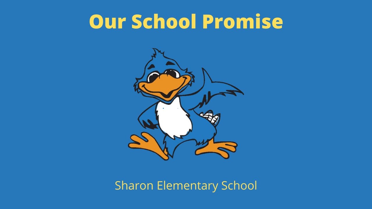Sharon Elementary School Our School Promise YouTube