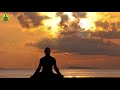 "Destroy Unwanted Mental Blockages" Deep Sleep Meditation Music, Boost Positive Energy Healing Music