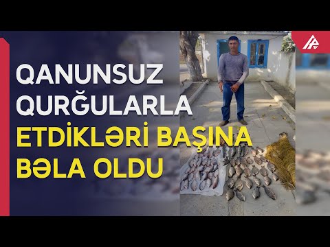 Neftçala sakini balıq tutmağa getdi, cinayət işi açıldı - APA TV