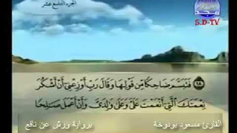 تلاوة عطرة من سورة النمل للقارئ مسعود بودوخة الجزائري