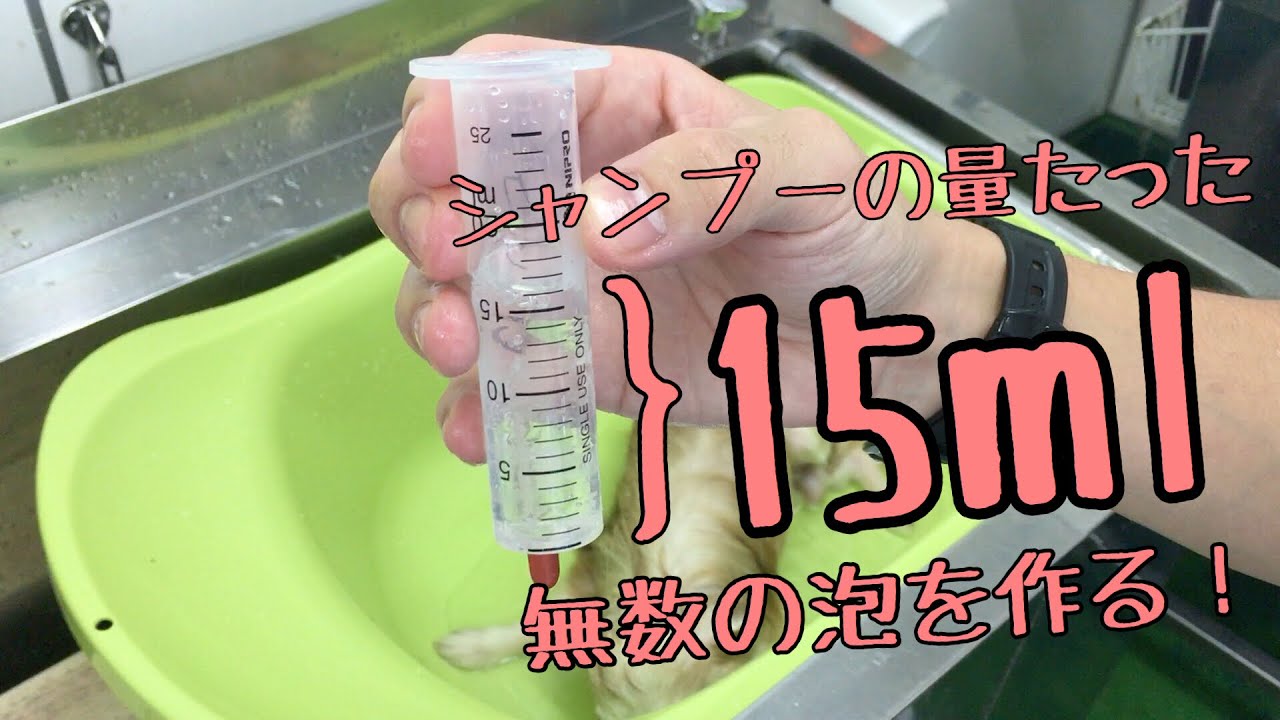 藤井流シャンプー方法［兵庫ペット医療センター トリミング 尼崎 犬動画　］Happy dog glooming