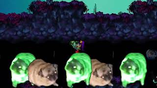 The Nightmare Woods Run Run Rottytops Shantae And The Pirates Curse
