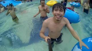 Wow Ada Yang Tegang.