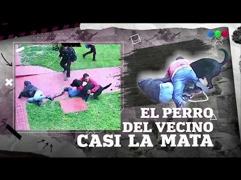 SAVAGE DOG OUT OF CONTROL: ATTACKED A WOMAN AND NEARLY KILLED HER #ElNotiDeLaGente