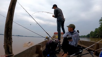 Đặc Sản Sông Mê Kông, Tôm Càng Xanh, Cá Ngát Biển | TGSB #47