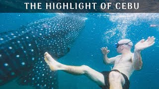 Whale Sharks, Osmena & Tumalog // Cebu Vlog // Travelling Full TIme