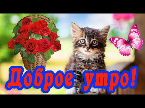 С добрым утром. Самого лучшего дня ✨Позитивная Музыкальная Открытка с Добрым Утром!
