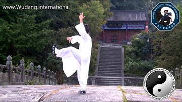 Wudang Xuan Wu Quan (Liang Yi Quan) by Master Chen Shiyu