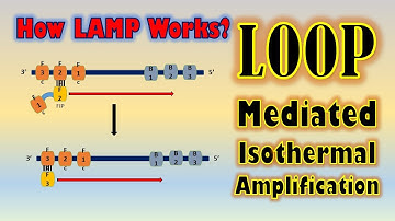 Loop Mediated Isothermal Amplification-Animation