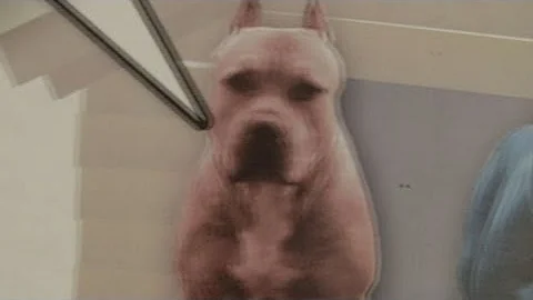 Plane Xtreme: The Pit Bulls