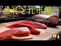 とれとれ市場 マグロ Toretore Ichiba fish market 【 Travel Japan うろうろ和歌山 】 Nishimuro District , Wakayama