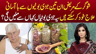 Sugar Ko Control Krne Ka Ilaj Sirf In Herbs Se Mumkin | Dr Sahar Chawla