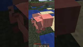 Jugando Minecraft Negative