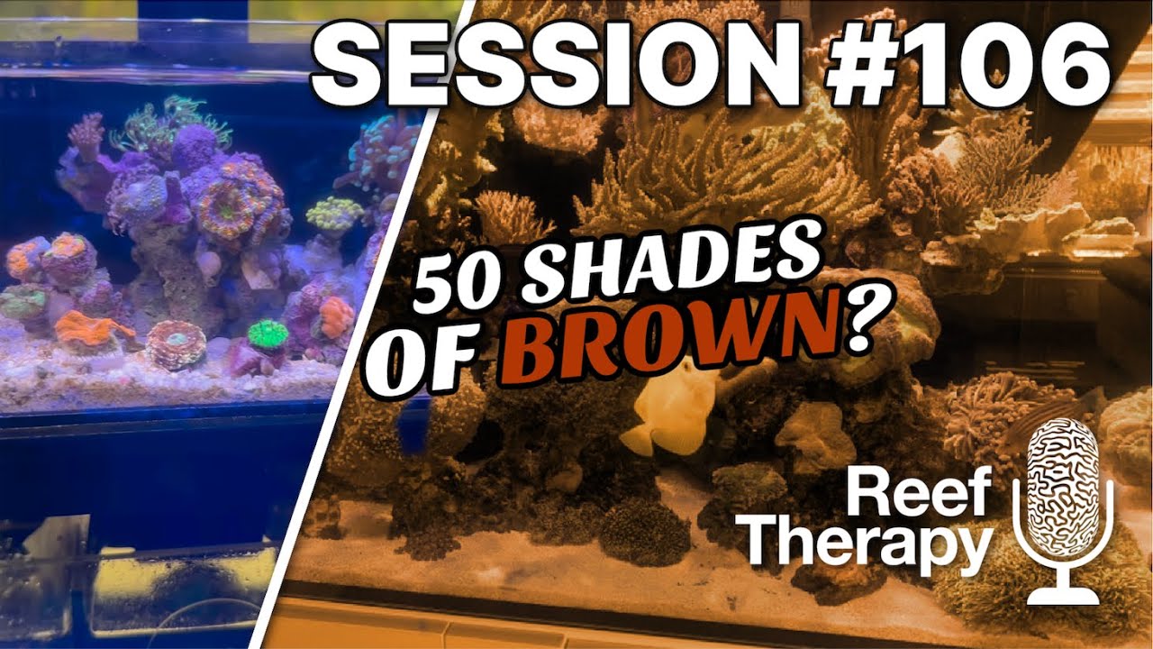 Micro & Macro Reef Tanks + Everything In Between w/Shane Coleman | #106