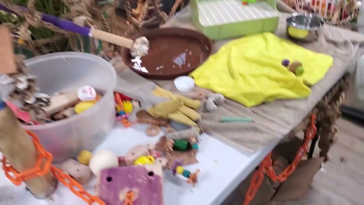 С возвращением, дорогая! 🥰