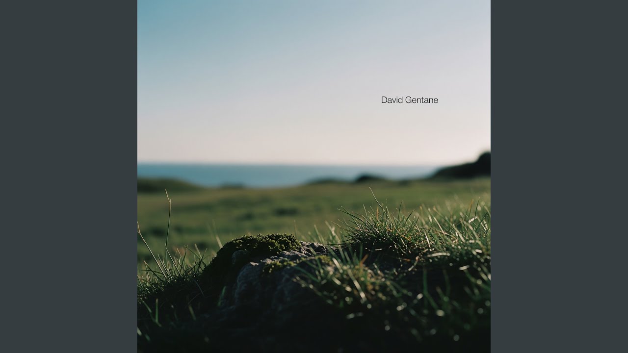 Breath Between Fields