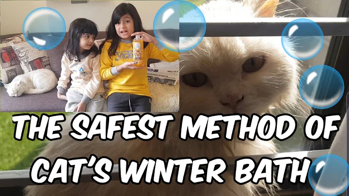 Watch the video about Cat's reaction to bathing I how to bath your cat II Funny Cats II Cat Bathing I Cat vs bath