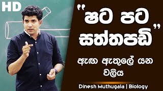 "ෂට පට සත්තපඩි" ඇඟ ඇතුලේ යන වලිය | Dinesh Muthugala