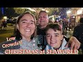 An Empty SeaWorld For Their Christmas Celebration! Plenty Of Snow And Food! 