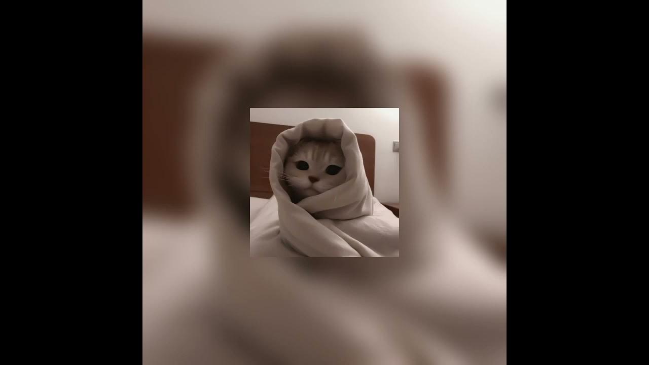 Бесконечность speed up. Бесконечность speed up. Бесконечность speed up. Инфинити ютубер. Бесконечность speed up.