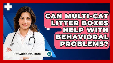 Can Multi-cat Litter Boxes Help With Behavioral Problems? - PetGuide360.com