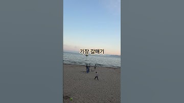 Thumbnail of #기장갈매기 #나훈아