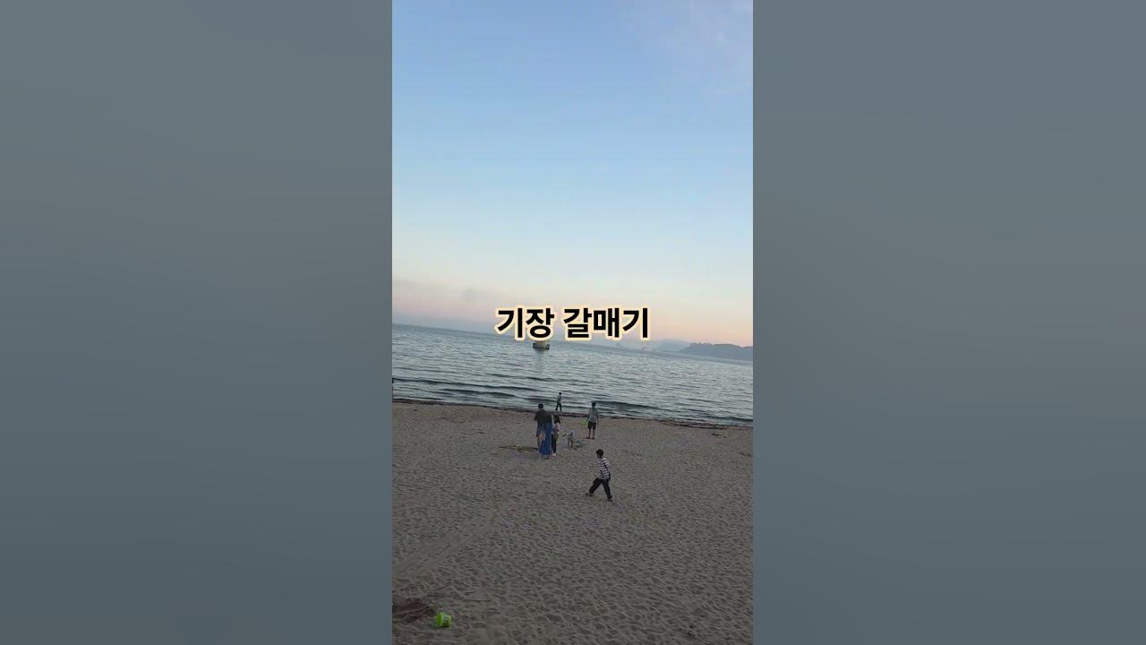 #기장갈매기 #나훈아