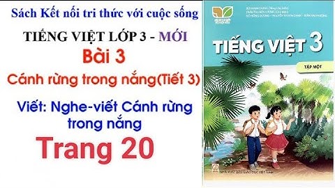 Tiếng Việt lớp 3: Bài 3 Cánh rừng trong nắng (tiết 3) trang 20 sách Kết nối tri thức với cuộc sống