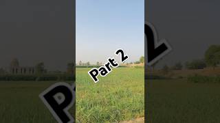 Magical ✨ circle ⭕ in the air.Urdu/Hindi.#funny #100kvews #comedy #viralvideo #comedymove #music