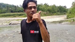 BERBURU HAMA LINGSANG WERGUL #01 (Hama Lingsang Maresahkan Warga)