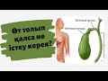 Өт жолдарын емдеу тәсілдері  //Денсаулығыңды сақта & Доктор Ермекқызы