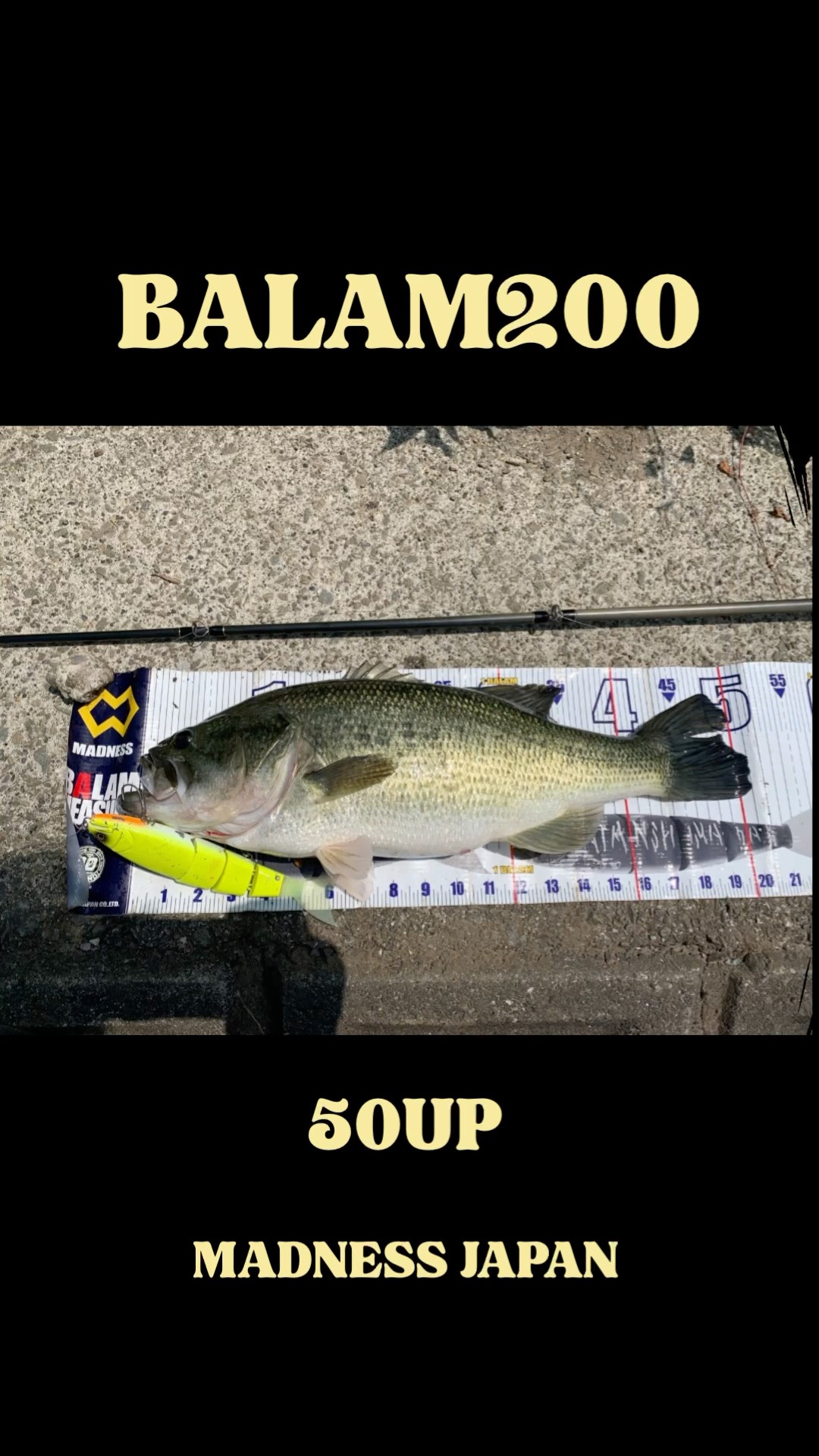 BALAM200絶好調第3弾 #バス釣り #blackbass #バラム200