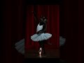 Cats Dance Ballet On Stage | Dancing Event