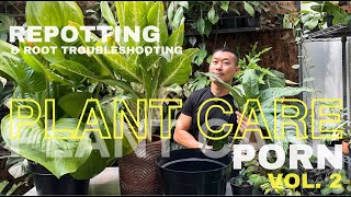 Extreme Plant Care Focusing on Repotting, Soil and Root Health | Plant Care Porn Vol. 2