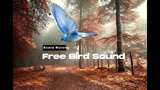 Free Bird Sound backsound Suara Burung Di Alam