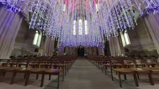 Peace Doves at Wells Cathedral