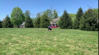 IMG 4384
