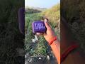 JBL pipe testing water